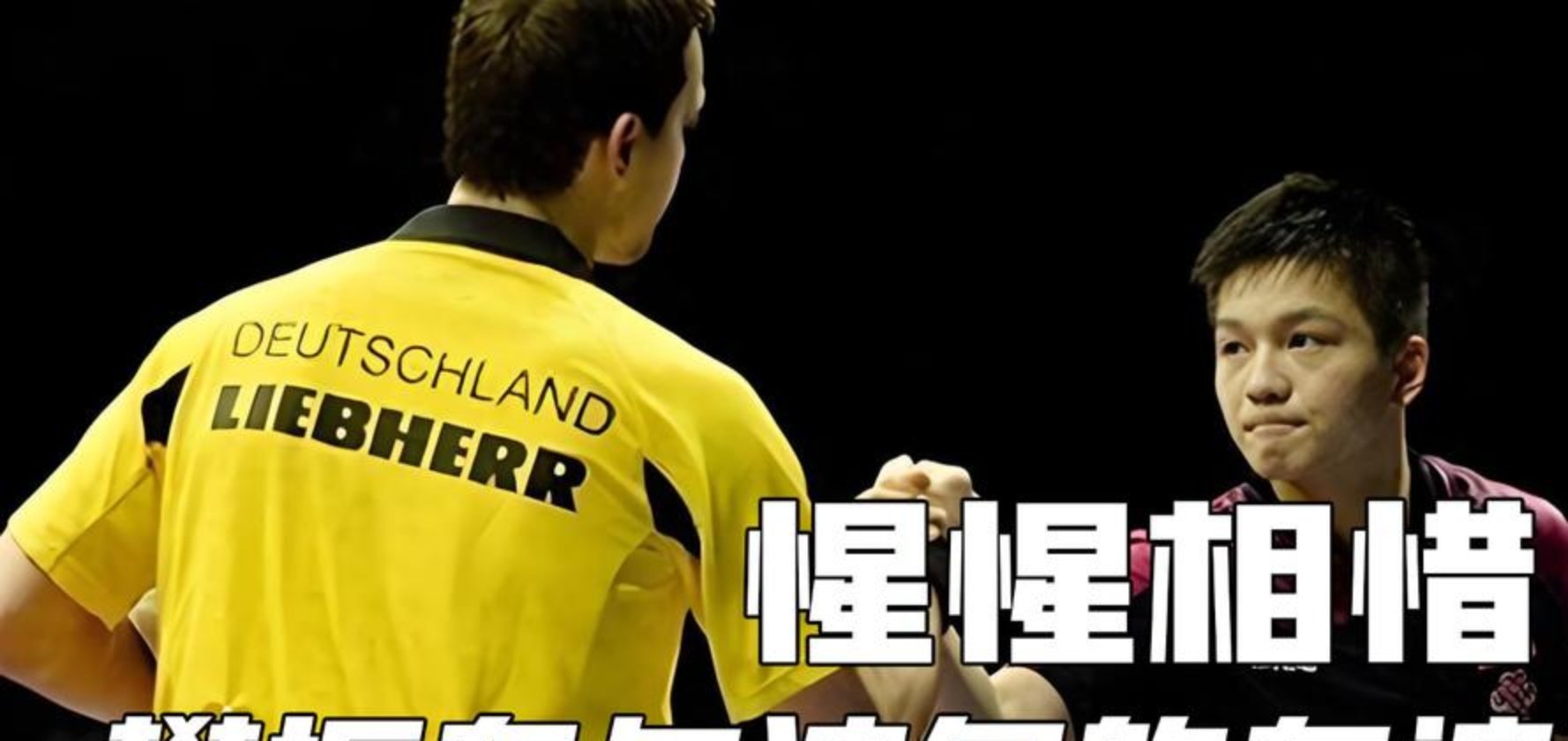 开云体育APP下载-瑞典队险胜韩国队，樊振东刷新纪录