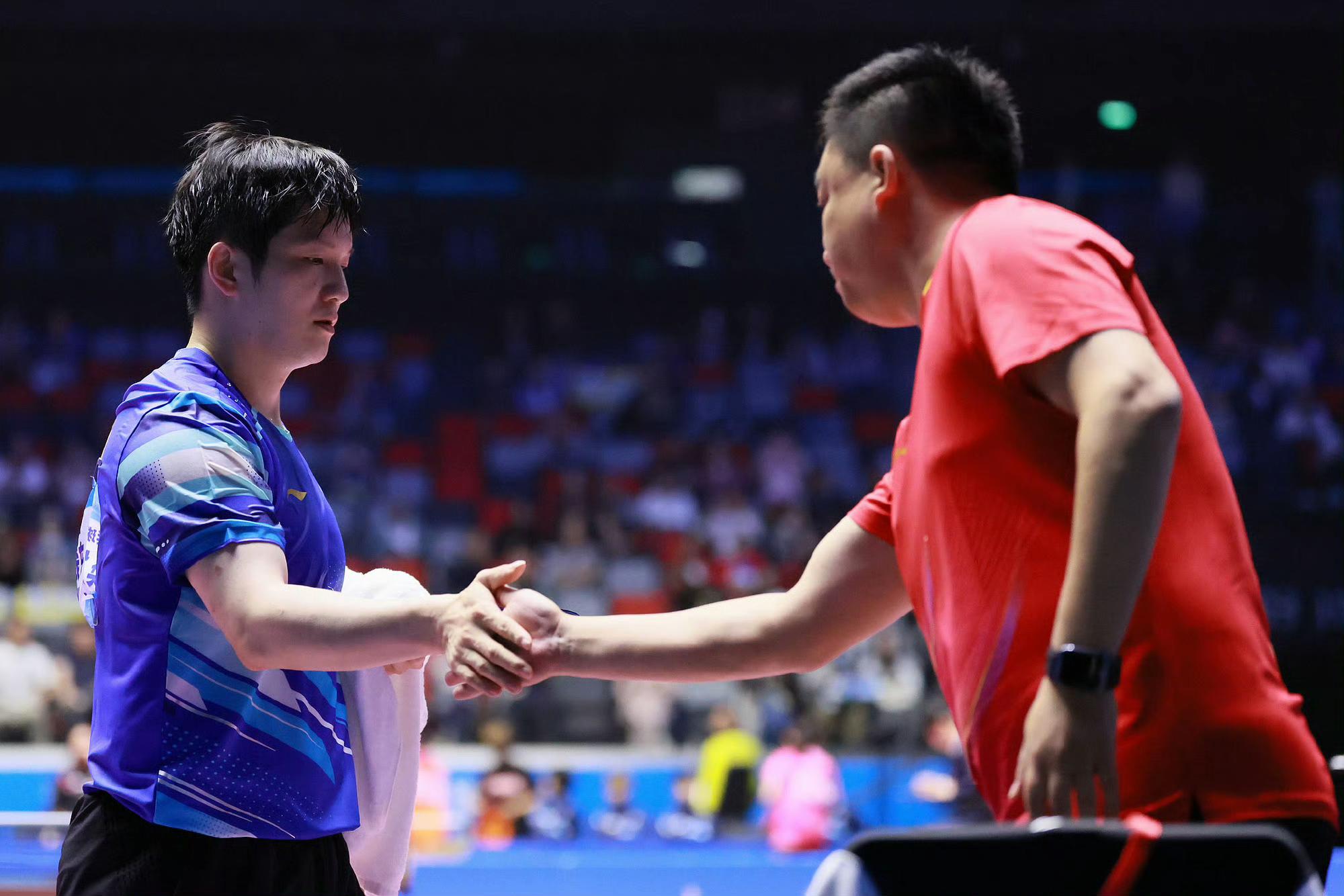 瑞典队险胜韩国队，樊振东刷新纪录