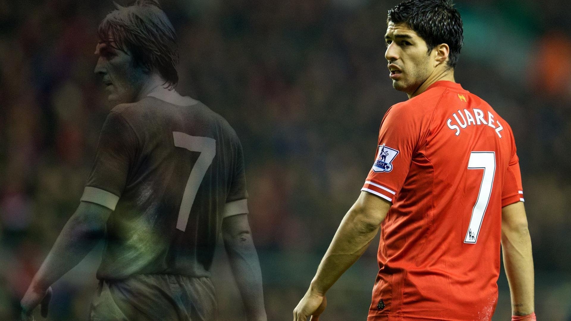 逆转之锚，戈贝尔如何用沉默的肌肉改写东北虎的宿命